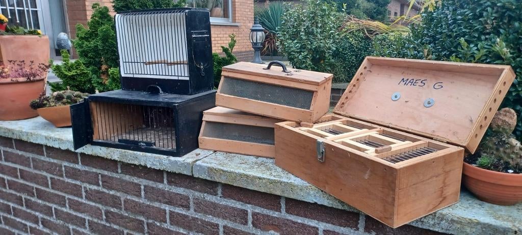 Transsport en tentoonkooien, Ophalen, Zo goed als nieuw