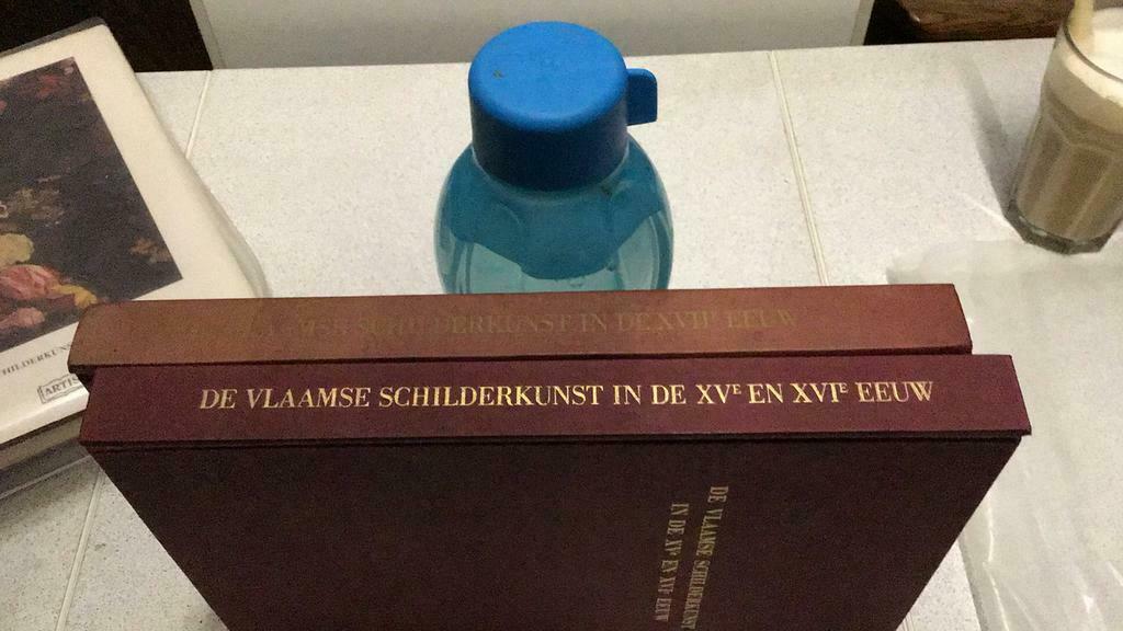 Artis de Vlaamse schilder (zk4), Ophalen of Verzenden, Gelezen, Artis, Prentenboek