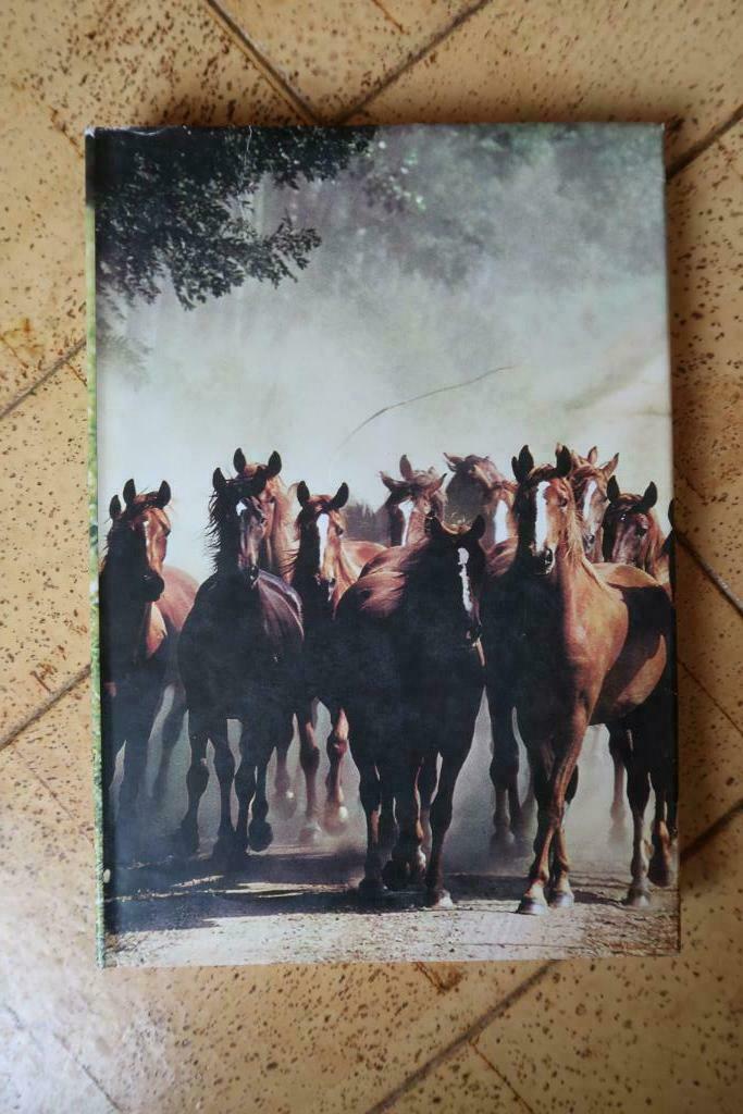 Boek Dieren : Onze paarden, Boeken, Dieren en Huisdieren, Ophalen of Verzenden, Zo goed als nieuw, Paarden of Pony's