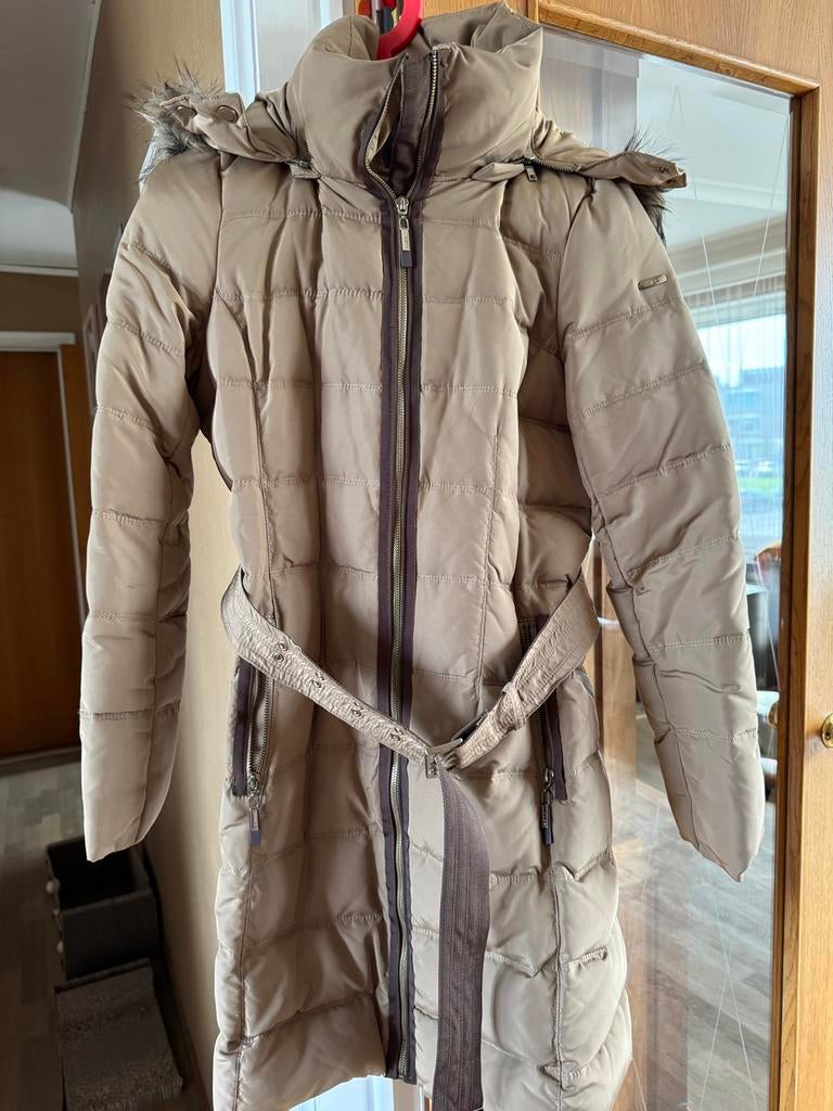 Esprit nieuw, Maat 38/40 (M), Beige, Nieuw, Ophalen of Verzenden