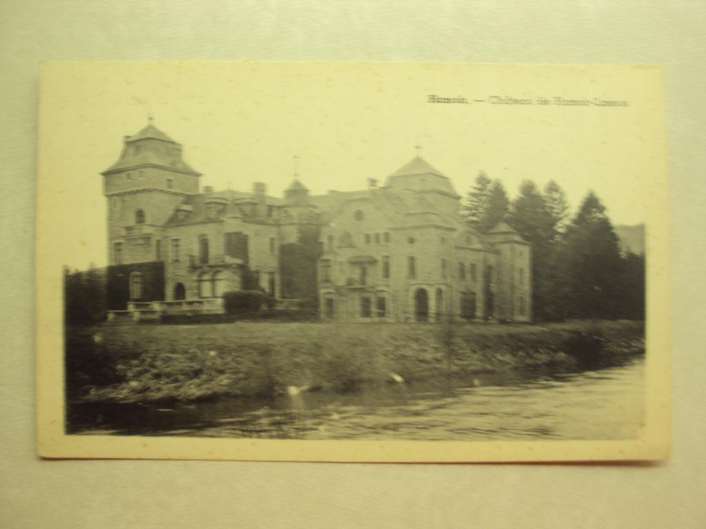 49571 - HAMOIR - CHATEAU DE HAMOIR-LASSUS, Ophalen of Verzenden