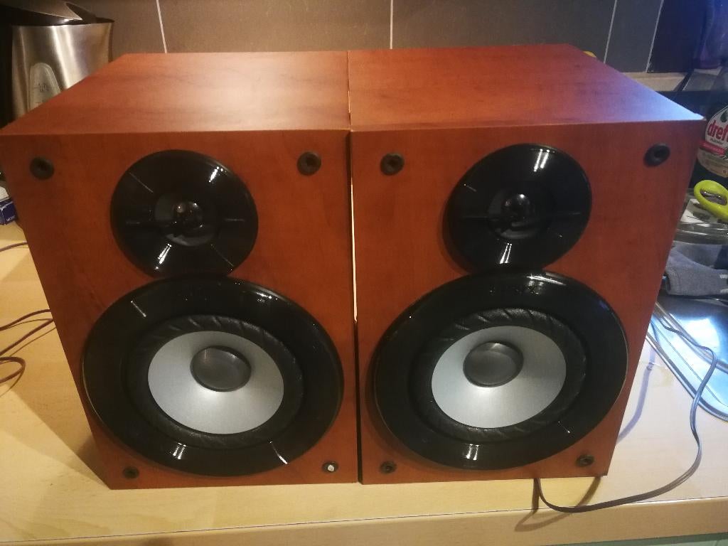 luidsprekers Sony SS-DV2D, Enlèvement, Utilisé, Moins de 60 watts, Sony
