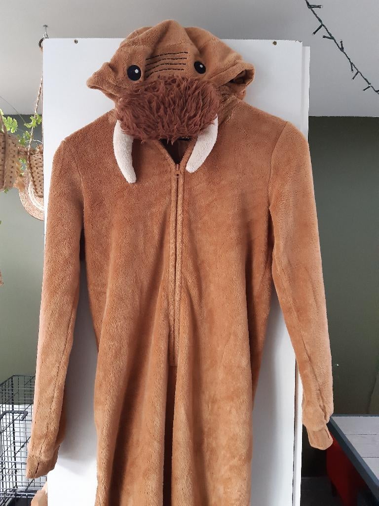 verkleedkleren onesie zeeleeuw, Ophalen, Gebruikt, 158 t/m 164, Jongen of Meisje