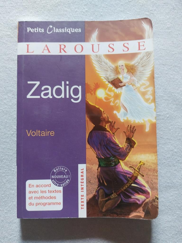 Zadig de Voltaire, Enlèvement, Utilisé, Secondaire, Français