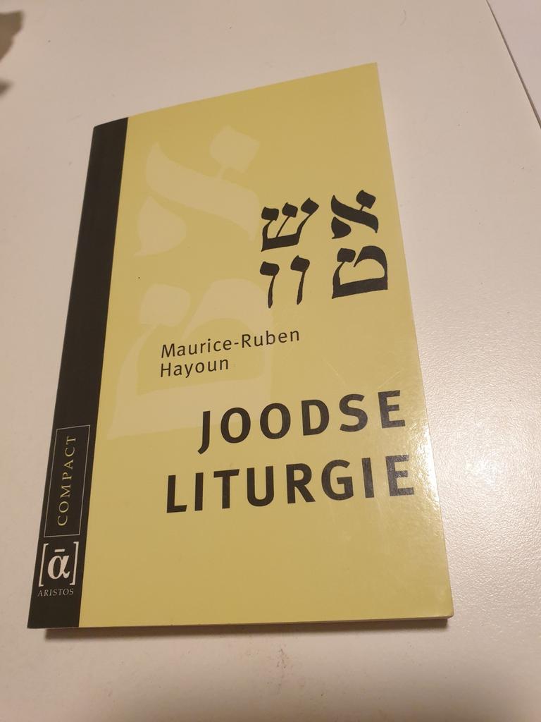 M.-R. Hayoun - Joodse liturgie, Boeken, Godsdienst en Theologie, Zo goed als nieuw, Jodendom, Ophalen of Verzenden