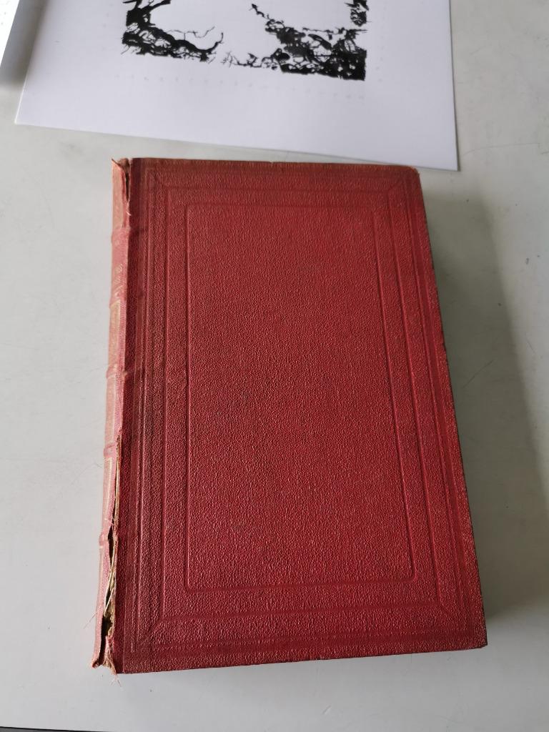 Les grands peintres des Flandres... - 1890!, Boeken, Gelezen, T. De Wyzewa, Ophalen of Verzenden, Schilder- en Tekenkunst