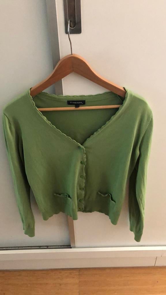 Cardigan Terre Bleue maat 38 fris groen, Maat 38/40 (M), Gedragen, Groen, "" TERRE BLEUE ""