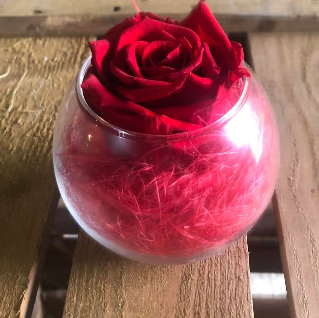 Idée cadeau rose éternelle mini vase boule en verre, Maison & Meubles, Enlèvement, Neuf, Rose, Verre