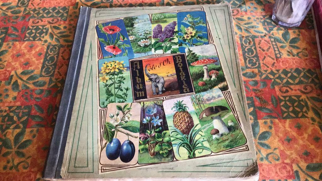 Album botanica Côte d’Or (x), Ophalen of Verzenden, Gelezen, Prentenboek