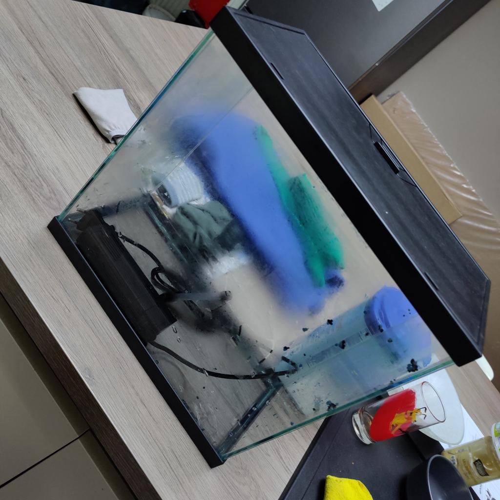 Aquarium, Enlèvement