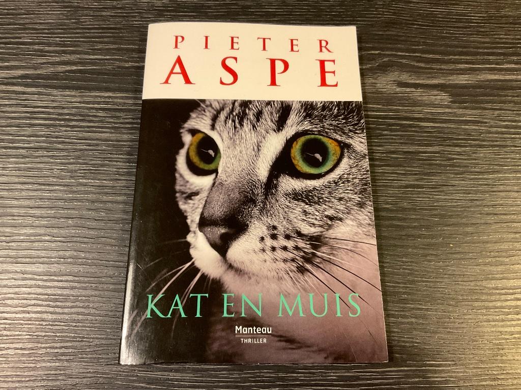 Boekje Pieter Aspe Kat en Muis, Ophalen of Verzenden, Zo goed als nieuw, Pieter Aspe