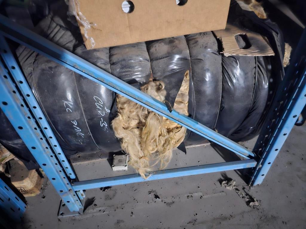 1 ballo ong 100 kg wol vers van schapen geschoren, Ophalen, Nieuw