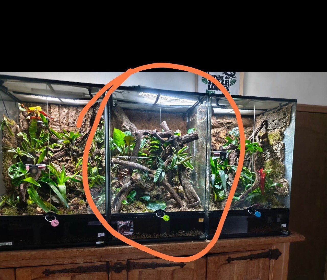 Exo Terra 60x45x90 100% Bio actif + occupant, Enlèvement, Comme neuf, Terrarium ou Paludarium