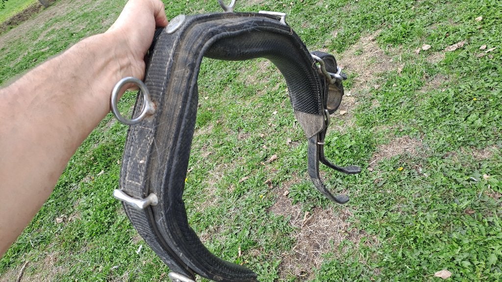 tuig COB maat Ideal, Dieren en Toebehoren, Ophalen, BR, Bit, Cob