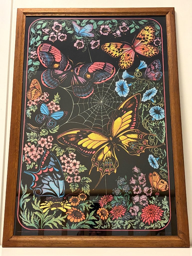 1970s Western Graphics Blacklight Poster "Delicate Wings", Ophalen