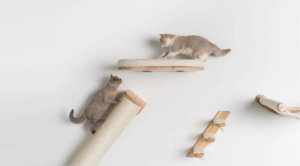 Wandmeubel Klimmuur Kat - Luxe Kattenbed (Crème), Dieren en Toebehoren, Ophalen of Verzenden, Nieuw, Krabmeubel-onderdelen
