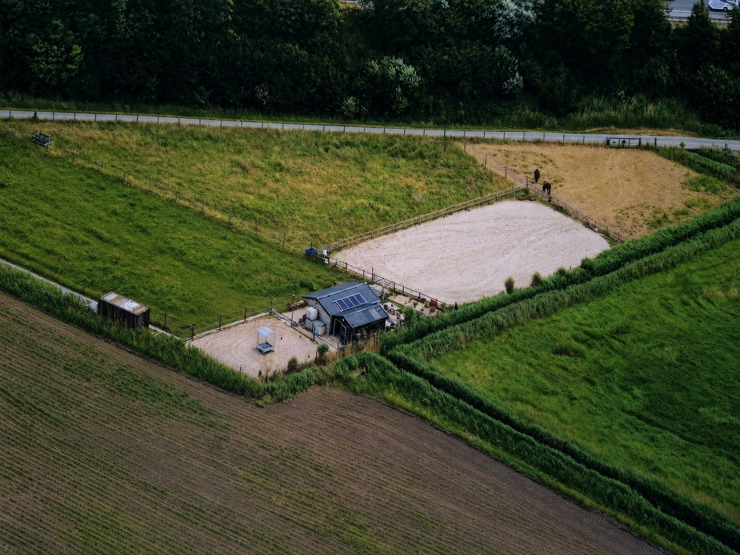 Te huur: Weiland met paardenstallen en rijpiste in Brugge, Dieren en Toebehoren, Stalling en Weidegang