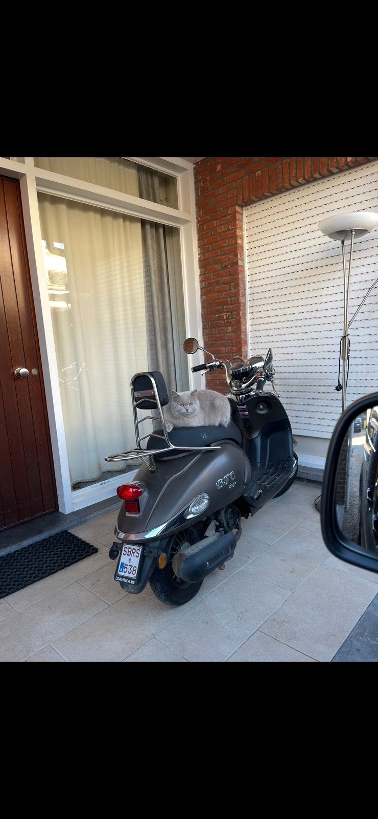 scooter btc legend 50 cc, Enlèvement, Utilisé, Essence, 50 cm³
