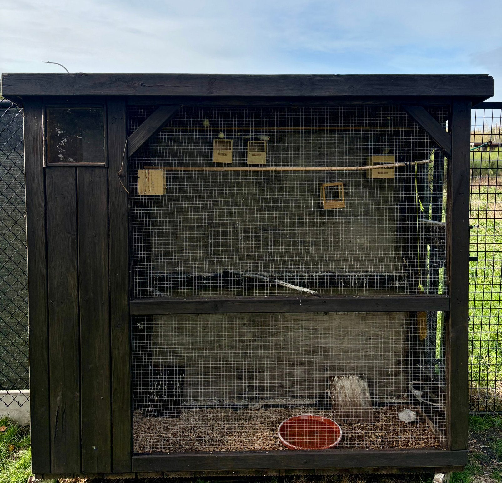 Voliere plus vogeltjes, Dieren en Toebehoren