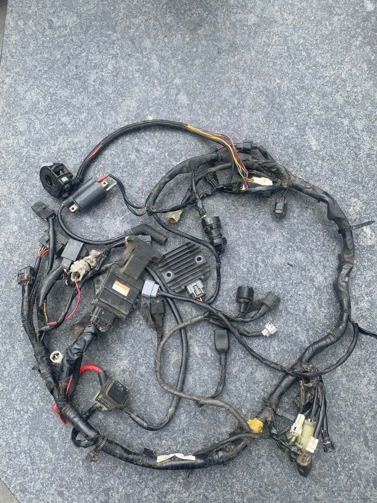 Yamaha raptor 700 kabelboom en ECU, Motoren, Ophalen of Verzenden, Gebruikt