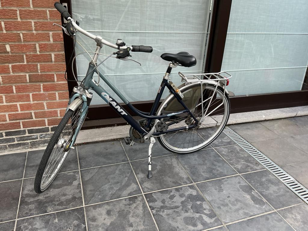 Damesfiets, Ophalen, Velgrem, Versnellingen, Giant