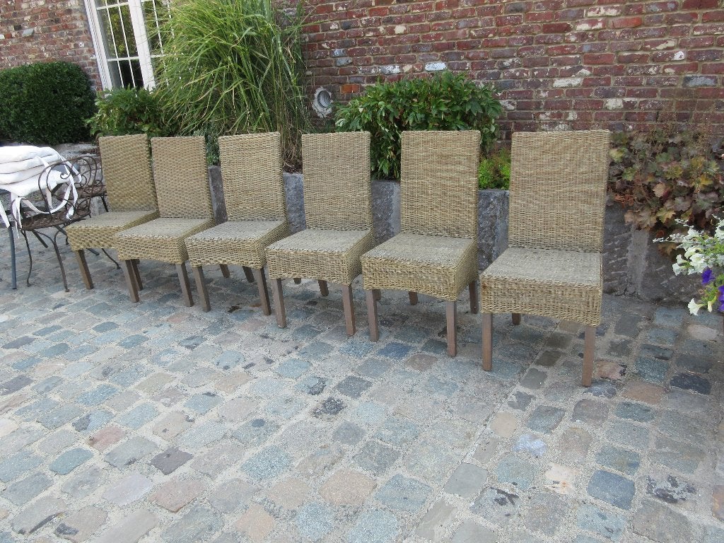 6 stoelen in rotan riet stoelen voor eetkamer of tuin, Ophalen