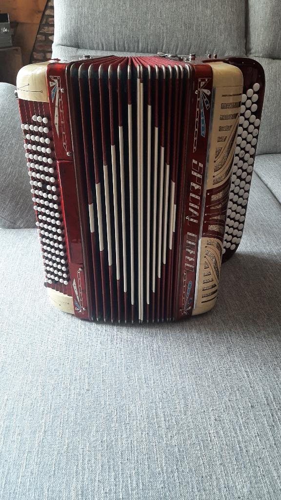 Accordéon Grégory Bruxelles, Musique & Instruments, Enlèvement, 120 basses