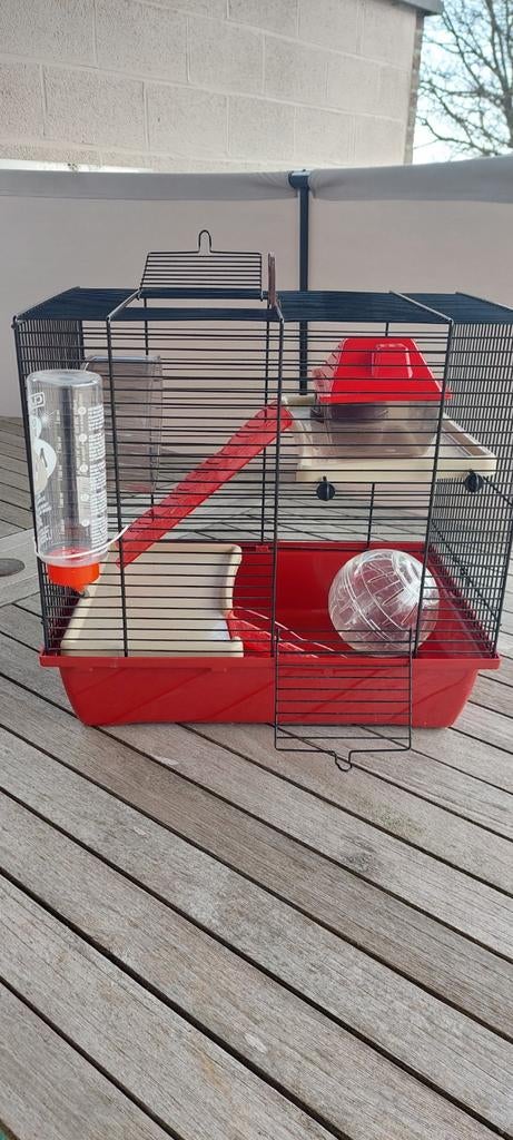 Cage et accessoires pour petits rongeurs + boule d'exercice, Kooi, Minder dan 75 cm, Zo goed als nieuw, Muis