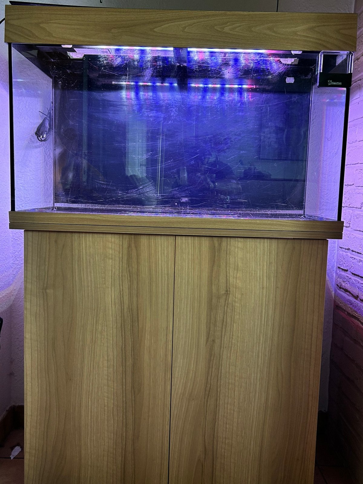 Aquarium Juwel RIO 125, Dieren en Toebehoren, Vissen | Aquaria en Toebehoren, Gebruikt, Filter, Verwarming, Juwel, Ophalen