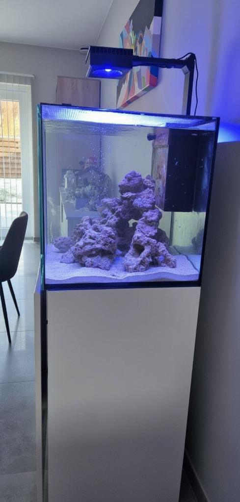 Aquarium marin Red Sea, Animaux & Accessoires, Poissons | Aquariums & Accessoires, Red Sea, Aquarium d'eau de mer rempli, Enlèvement