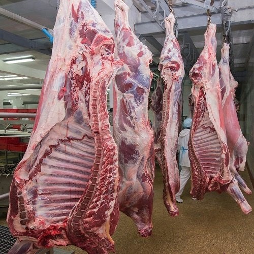SLAGERS GEZOCHT  WEKELIJKSE LEVERING & WINSTDELING, Zakelijke goederen, Exploitaties en Overnames