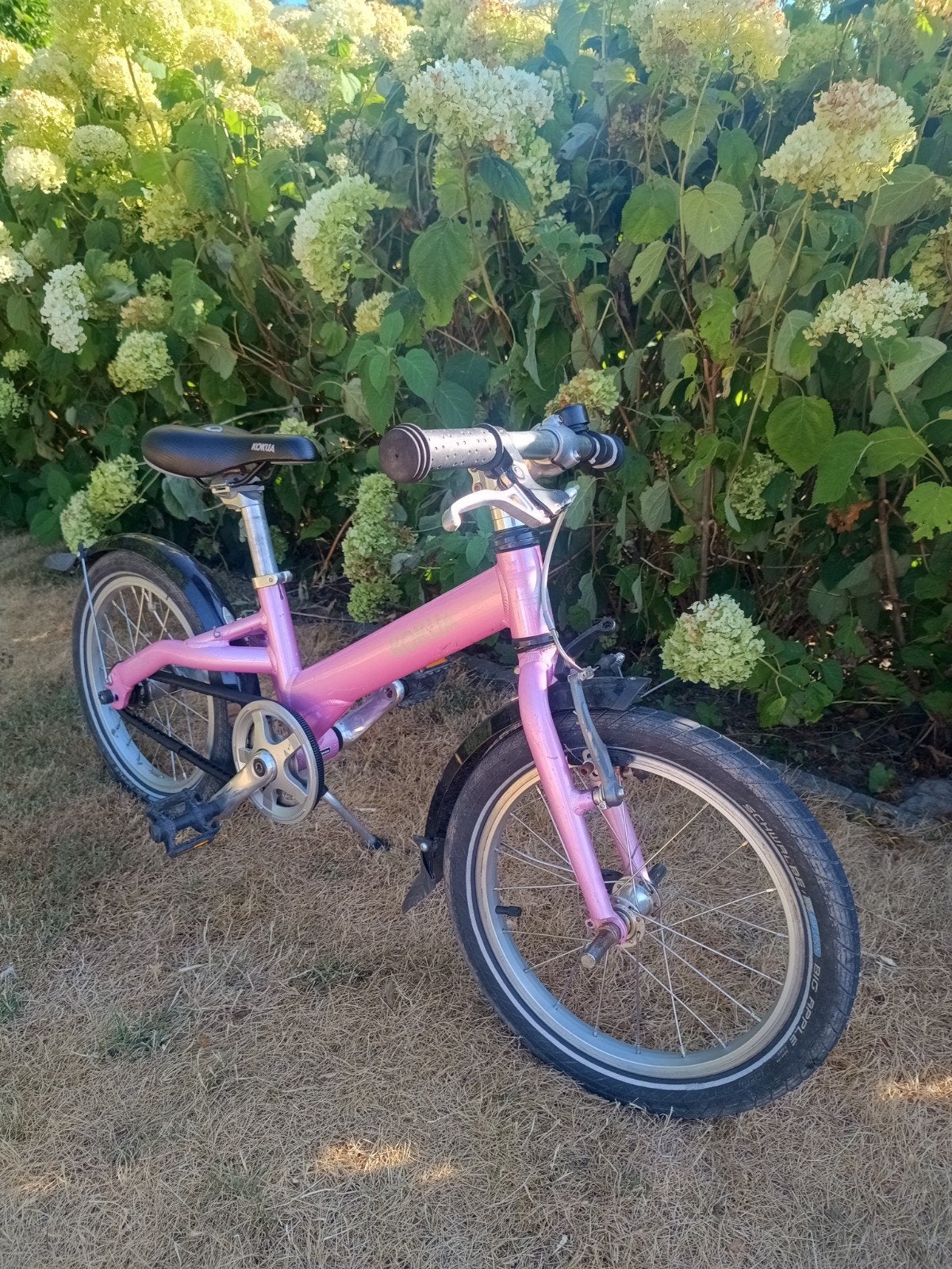 kokua fiets 16inch, Ophalen, Terugtraprem