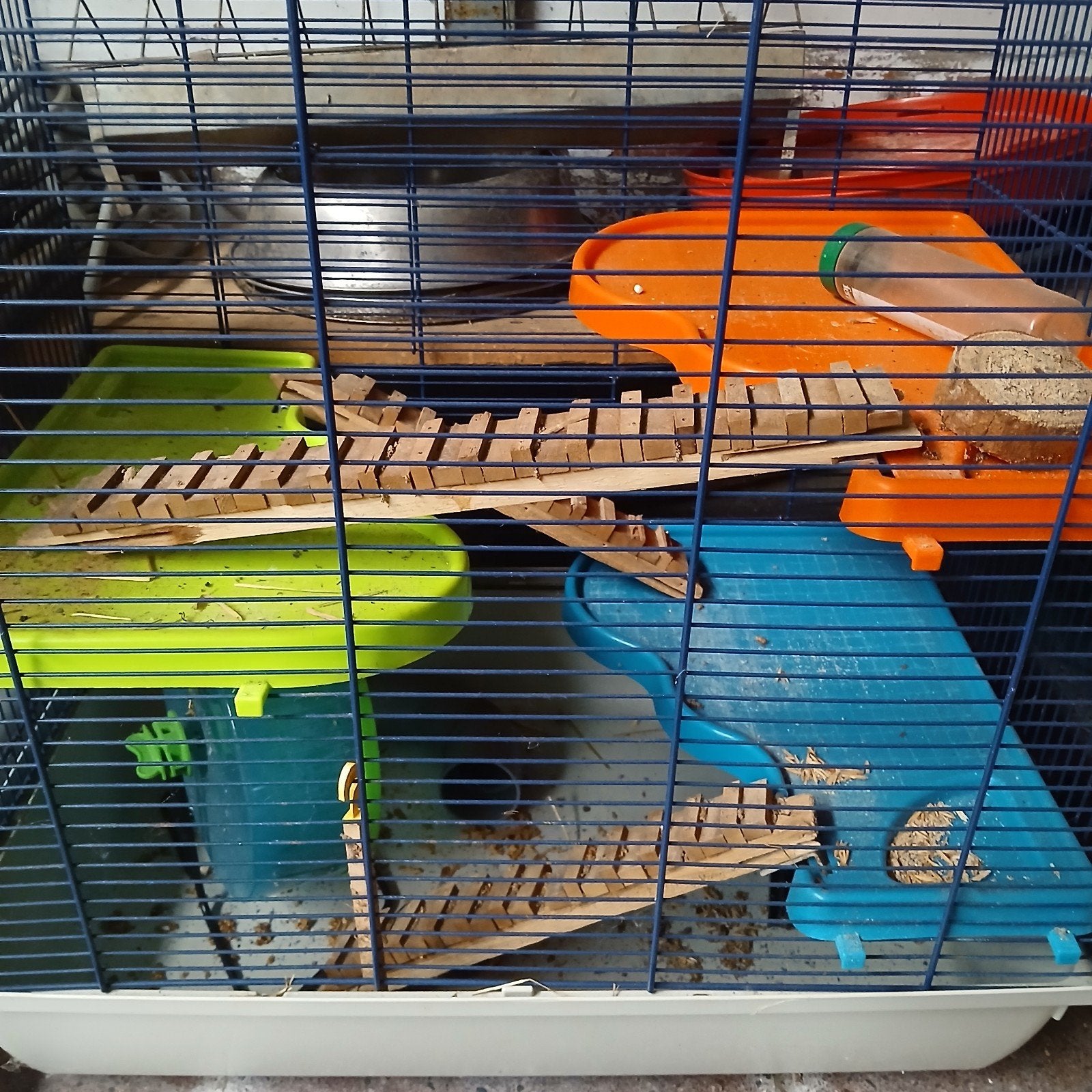 Hamsterkooi, Dieren en Toebehoren, Ophalen