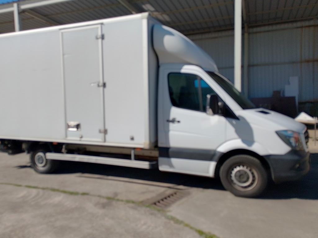 Verhuiswagen te huur, Auto's, Bestelwagens en Lichte vracht, Particulier, Te koop, Renault