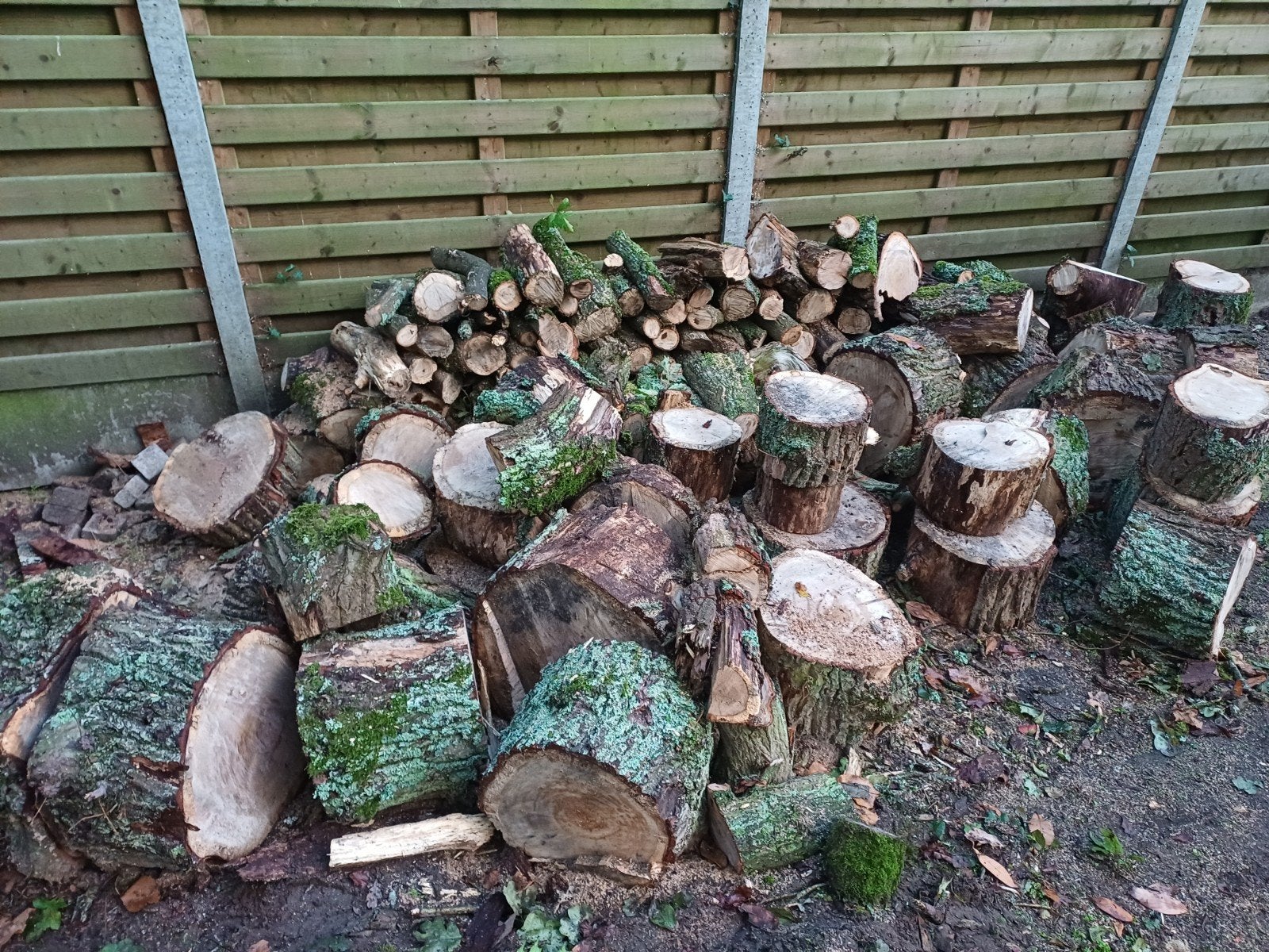 brandhout eik, Jardin & Terrasse, Bois de chauffage, 3 à 6 m³, Enlèvement, Chêne, Troncs d'arbres