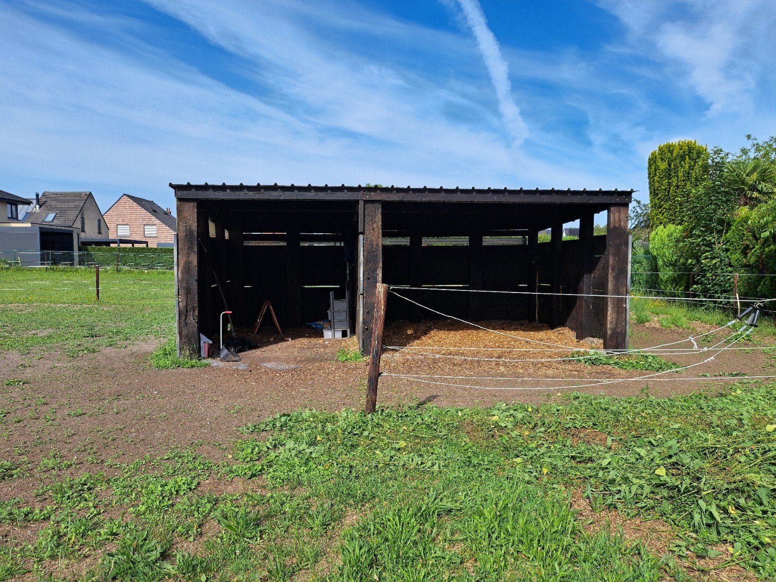 weide  te huur in hofstade / Zemst