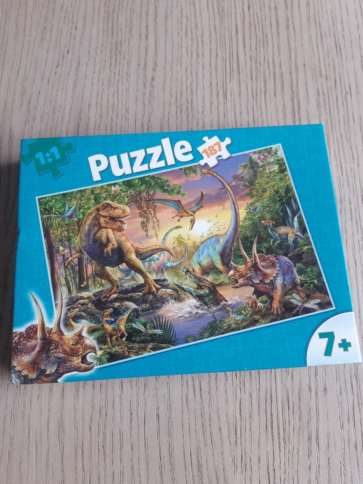 Leuke dino puzzel, Ophalen