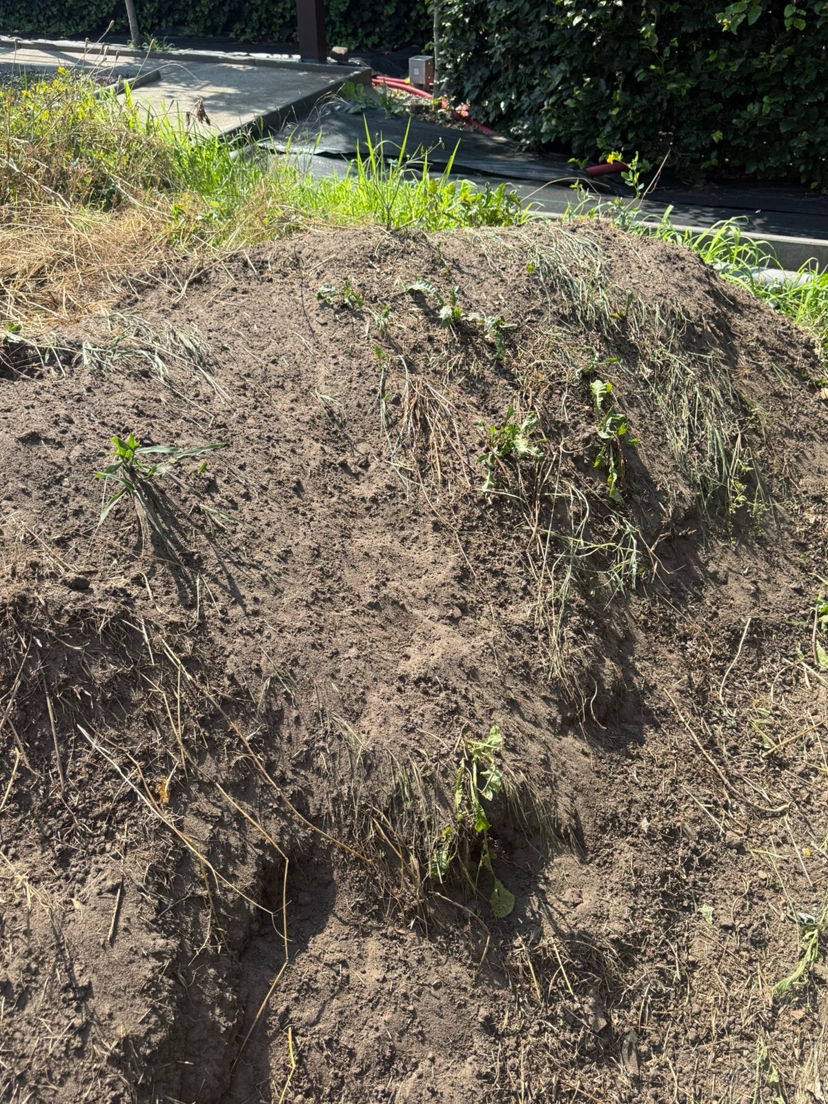 Aanvulgrond, Enlèvement, Terre pour jardin