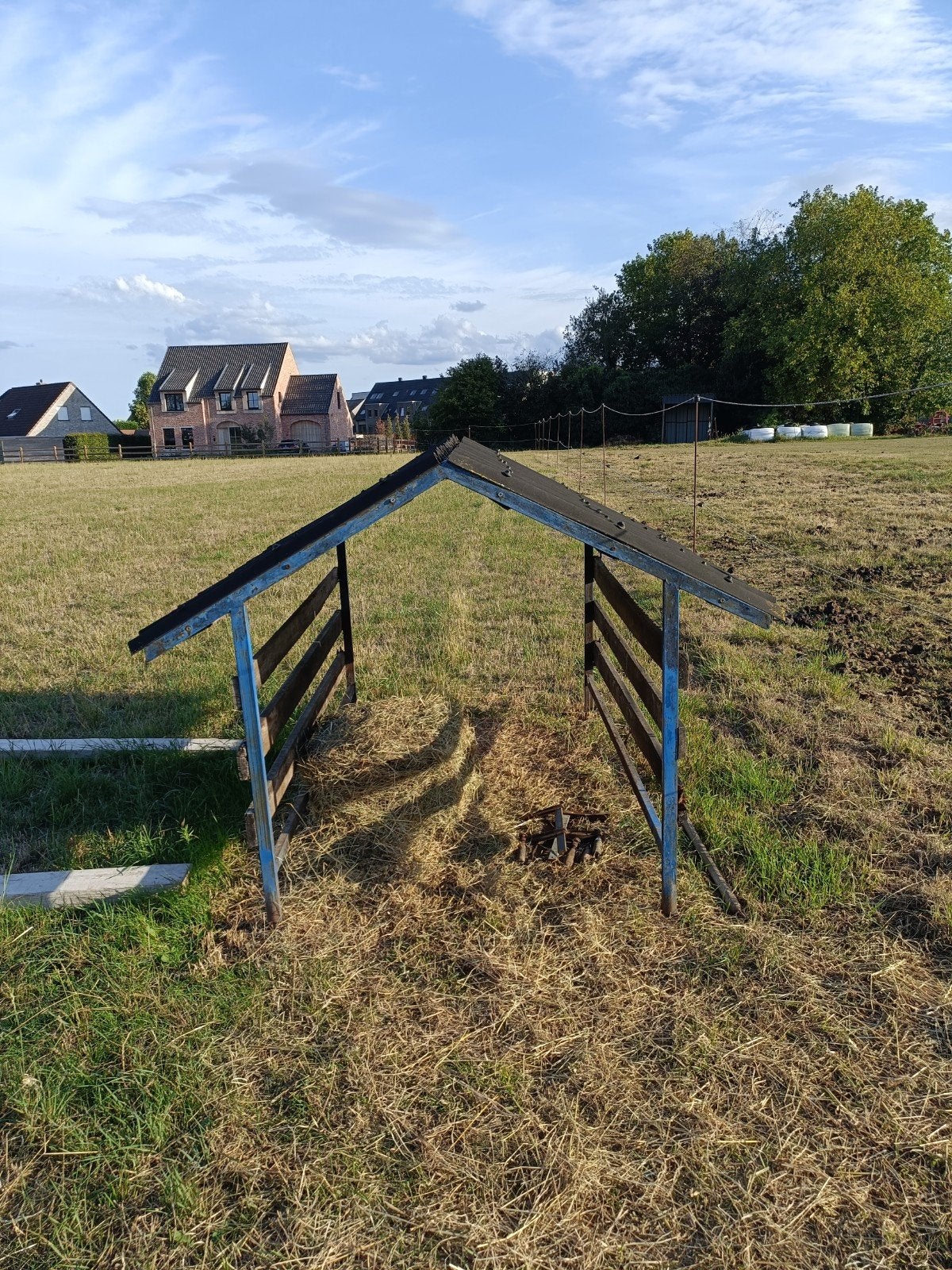 Bescherm kap tegen regen., Dieren en Toebehoren, Schapen, Geiten en Varkens