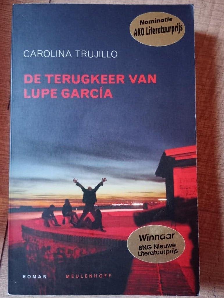 lot boeken voor volwassenen (16 stuks), Boeken, Ophalen of Verzenden, Zo goed als nieuw