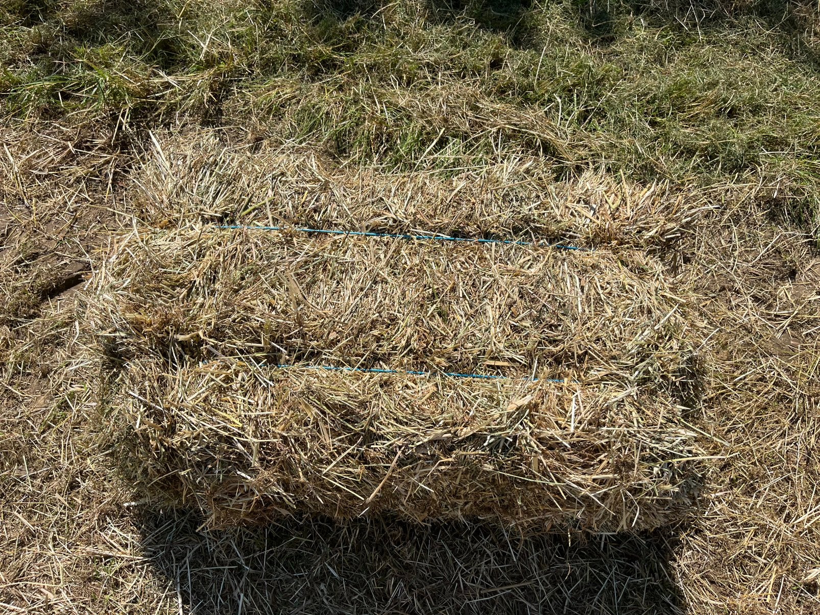 Kleine balen hooi te koop, Dieren en Toebehoren, Ophalen, Vee