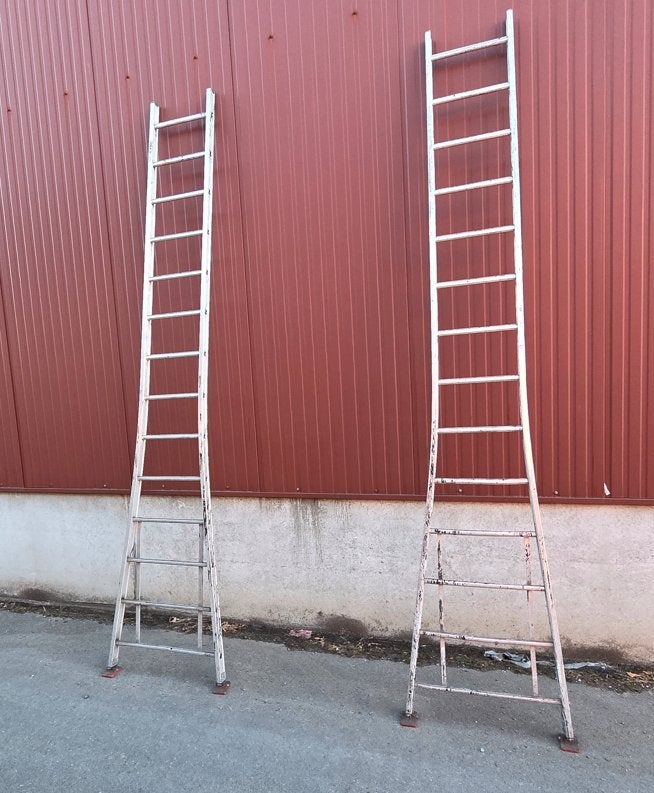 Échelles professionnelles en aluminium - 12/14 marches-30€/P, Bricolage & Construction, Enlèvement, Utilisé, Échelle, 2 à 4 mètres