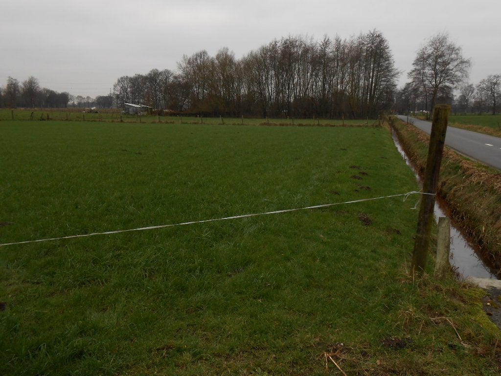 Mooi, rustig en gunstig gelegen weide/landbouwgrond in Geel, Immo, Terrains & Terrains à bâtir, 1500 m² ou plus, Ventes sans courtier