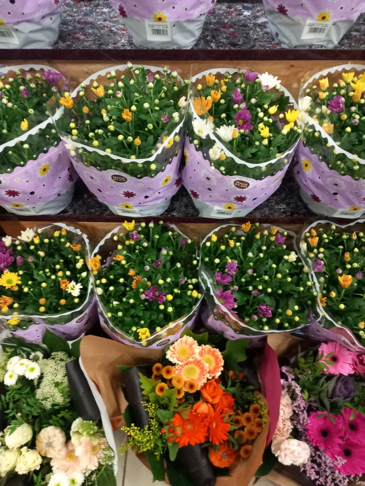 nous recherchons quelqu'un qui a nos fleurs 3 fois par semai, Offres d'emploi