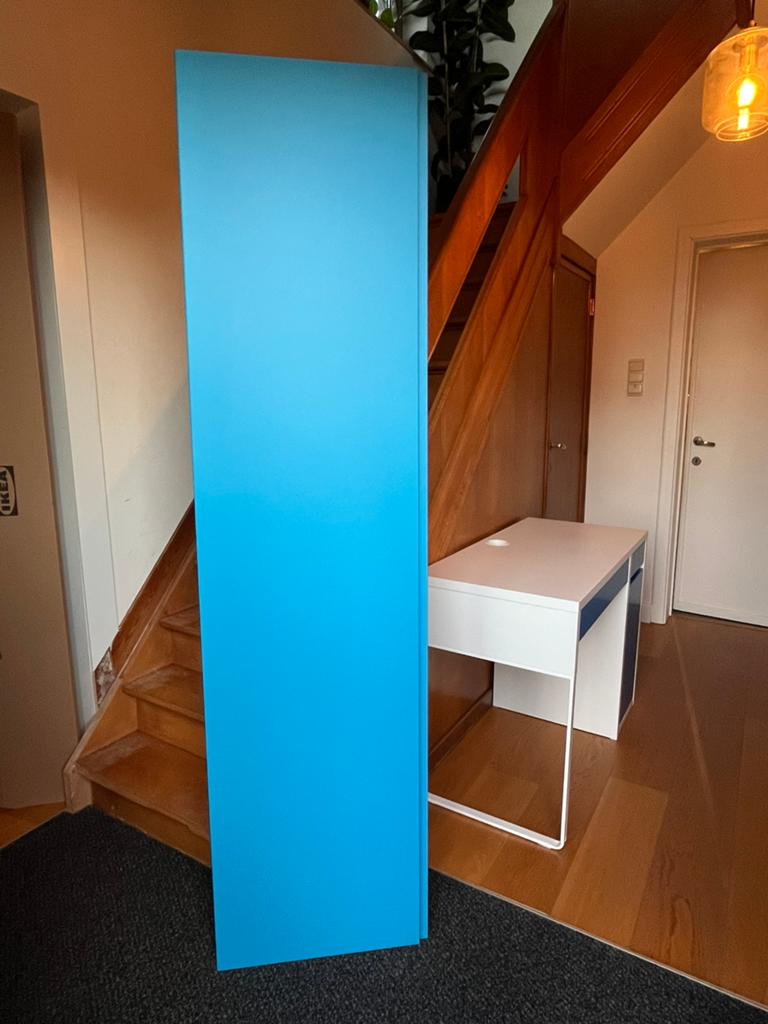 IKEA PAX deur 195 x 50, Ophalen, Zo goed als nieuw