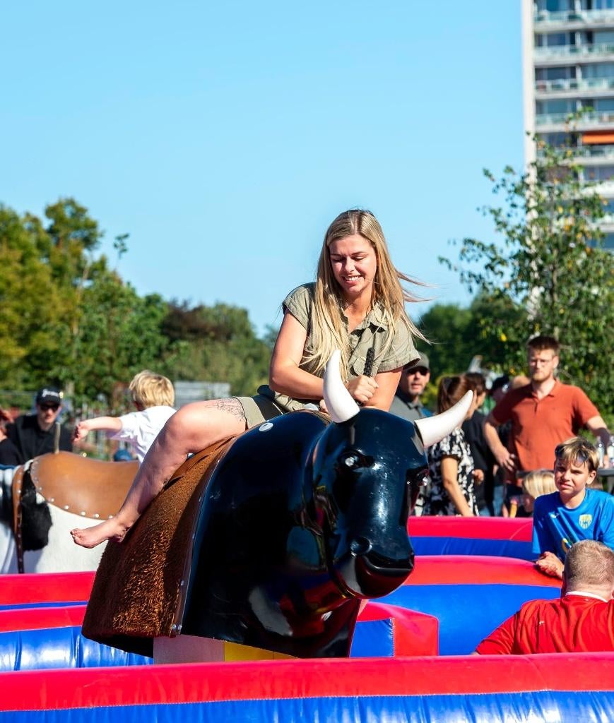 250€ / dag  verhuur van rodeostier mechanische