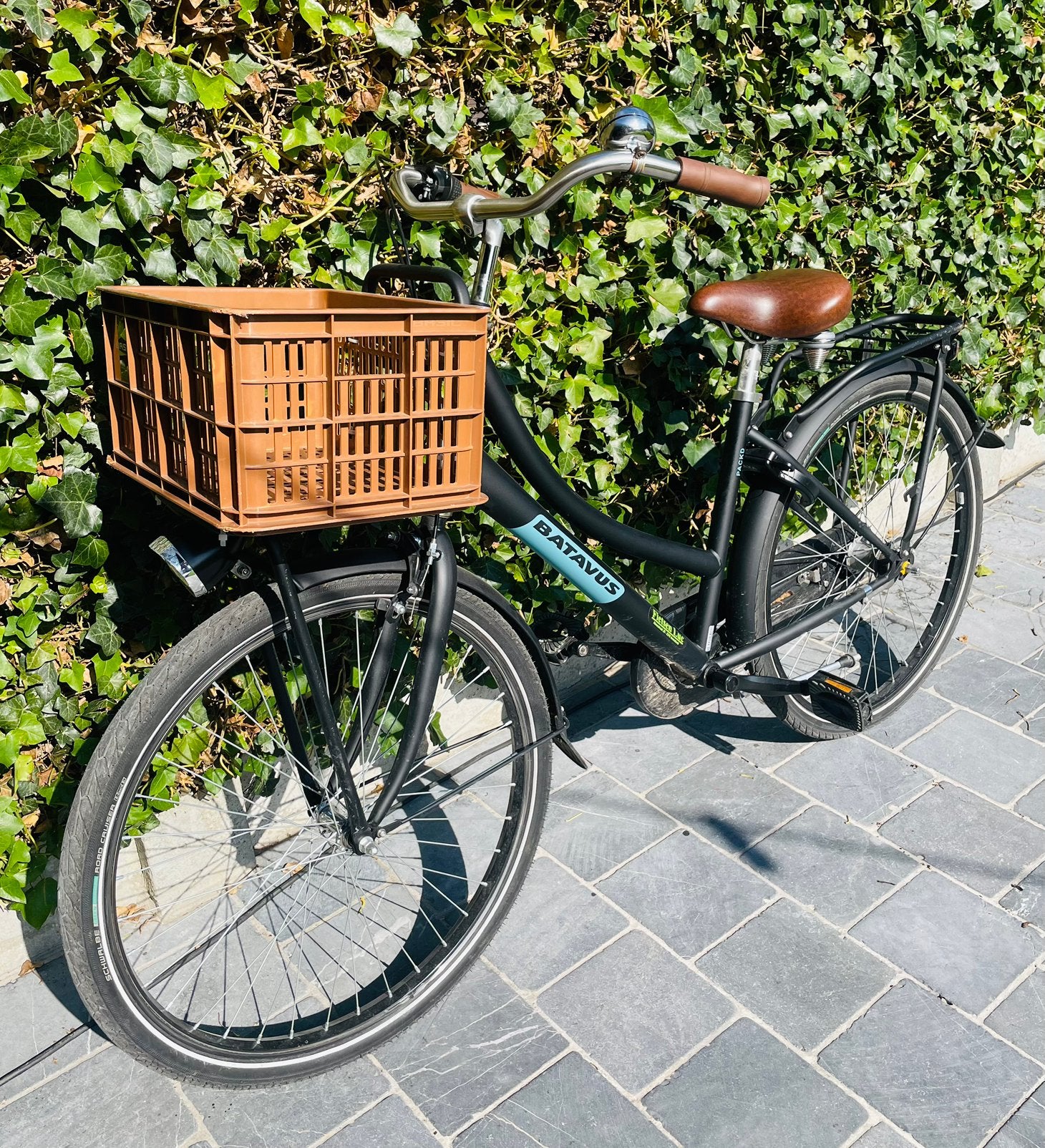 Batavus meisjesfiets 26inch, Fietsen en Brommers, Fietsen | Meisjes, Terugtraprem, Gebruikt, Handrem, BATAVUS