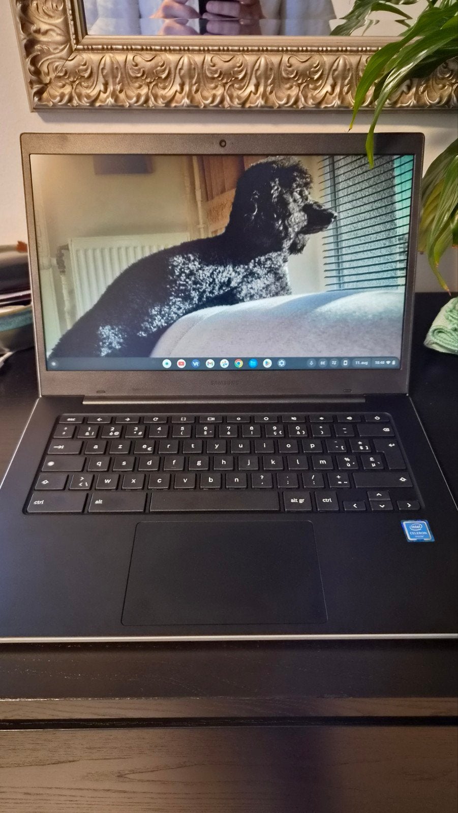Samsung Chromebook, Informatique & Logiciels, Neuf, 64 GB, 14 pouces, Enlèvement
