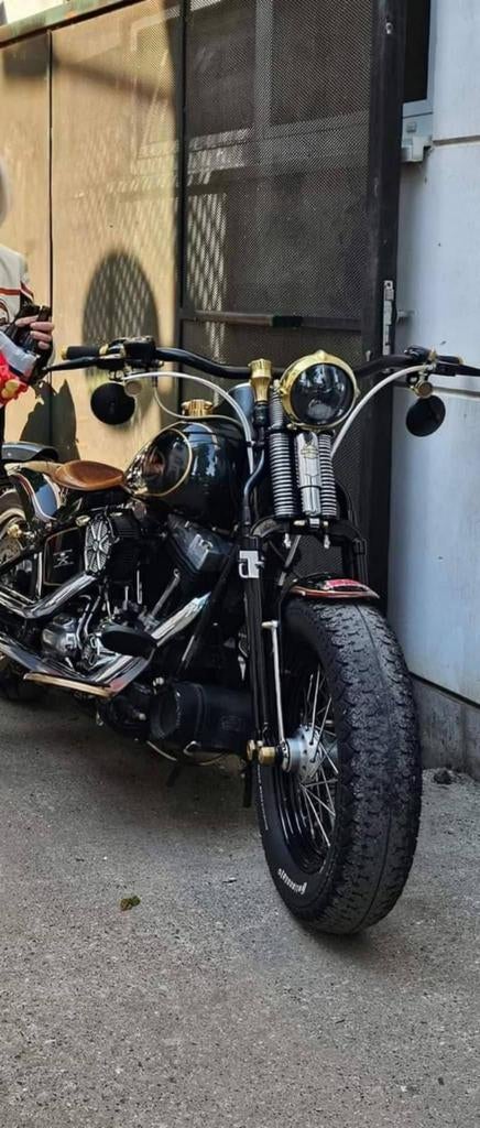 Harley davidson Cross Bones, Motoren, Particulier