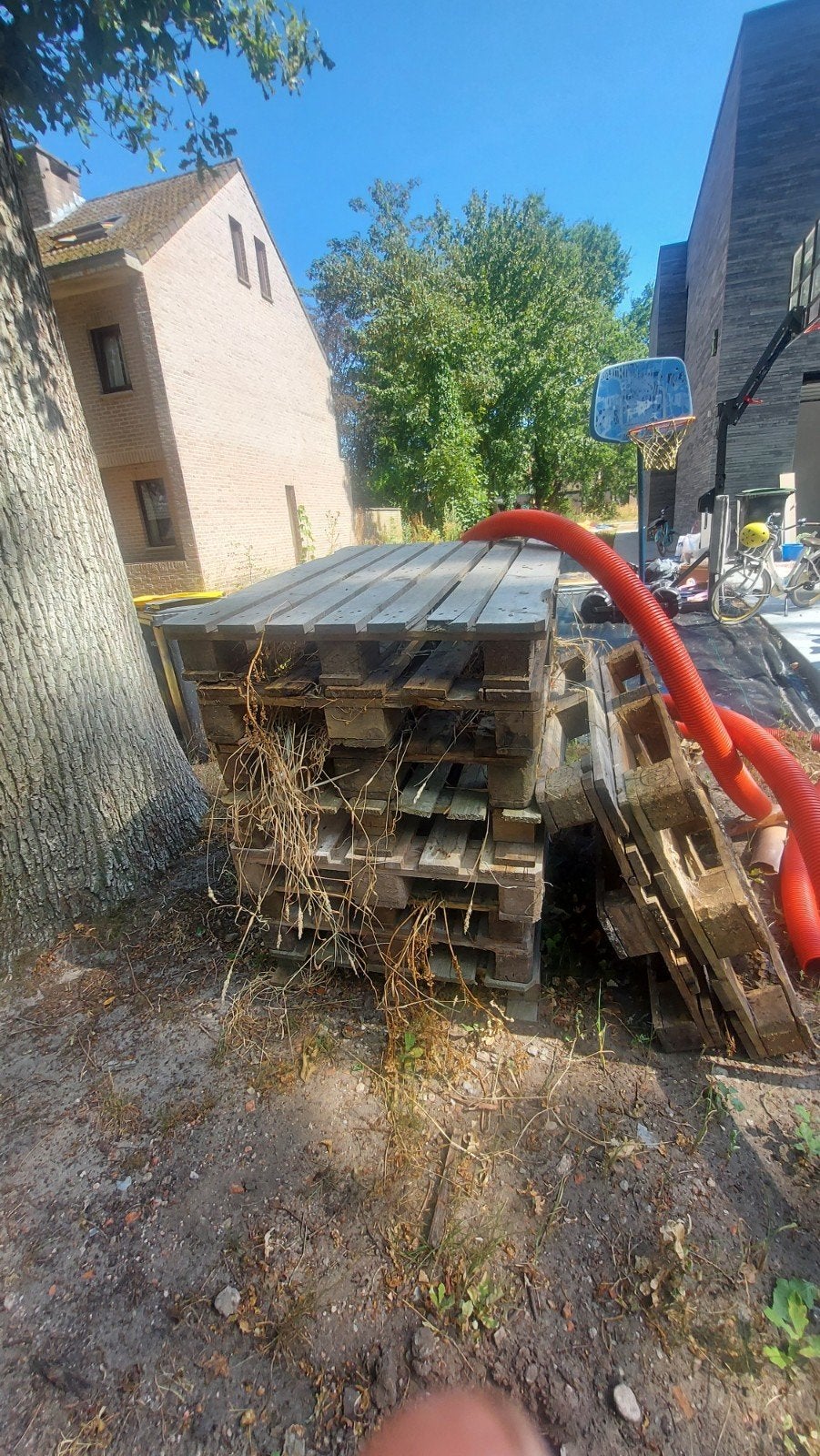 gratis hout en paletten, Tuin en Terras, Ophalen